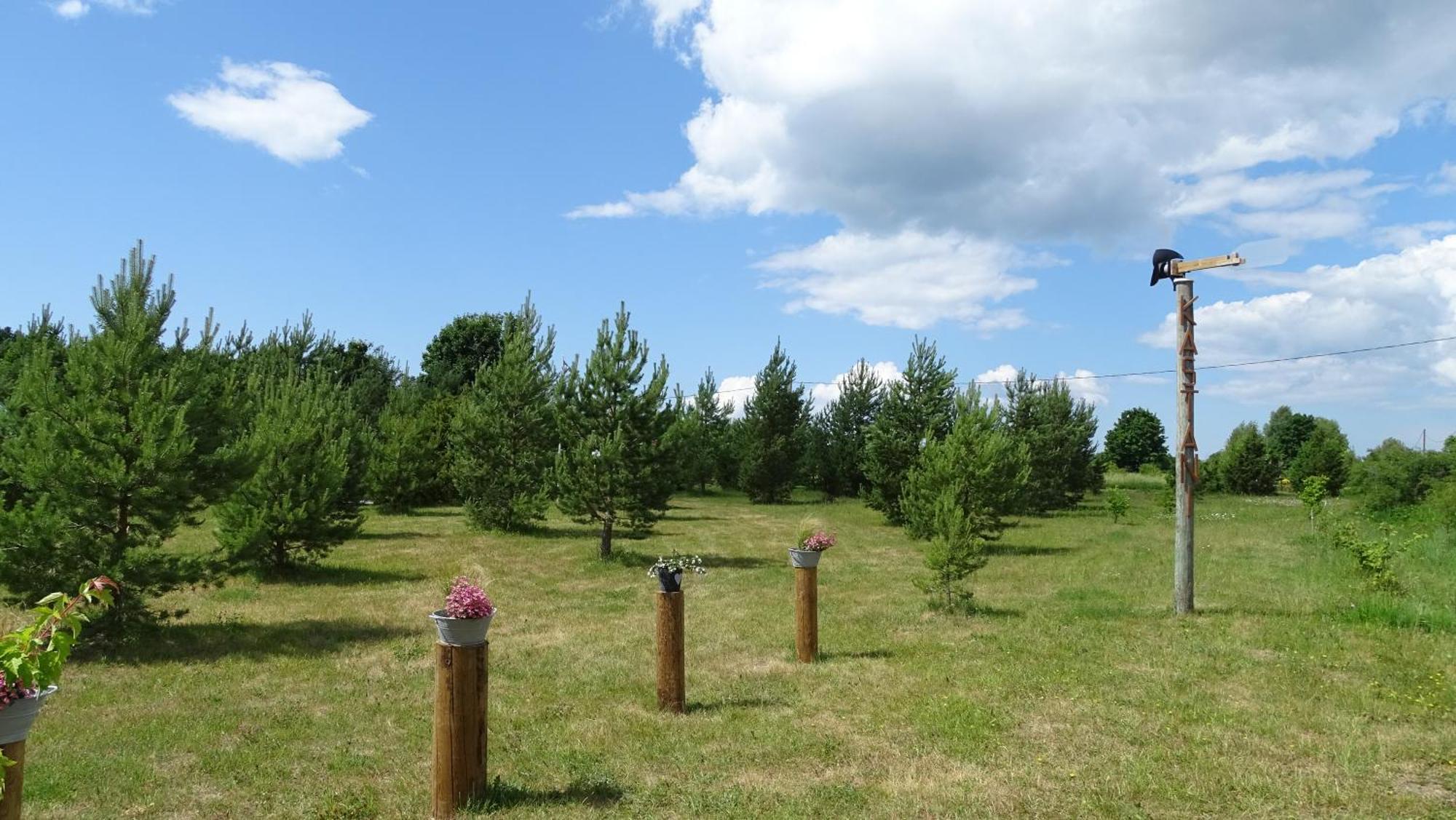 Kastani Camping Haapsalu Esterno foto